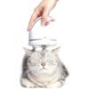Massager Pet Silicon 3D - Gambar 4